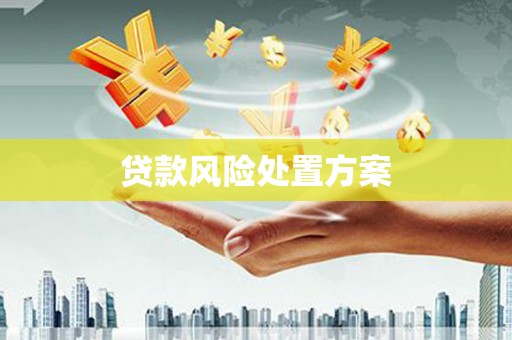 新北贷款风险处置方案