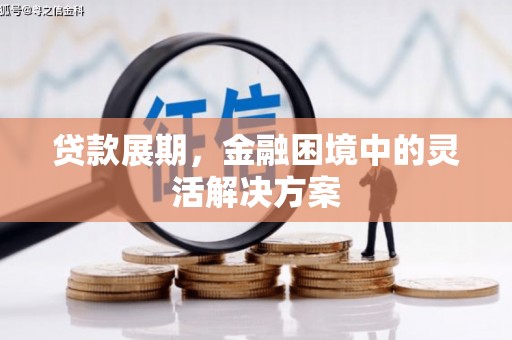 新北贷款展期，金融困境中的灵活解决方案