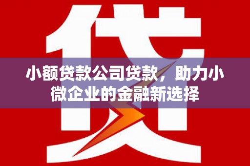 新北小额贷款公司贷款，助力小微企业的金融新选择