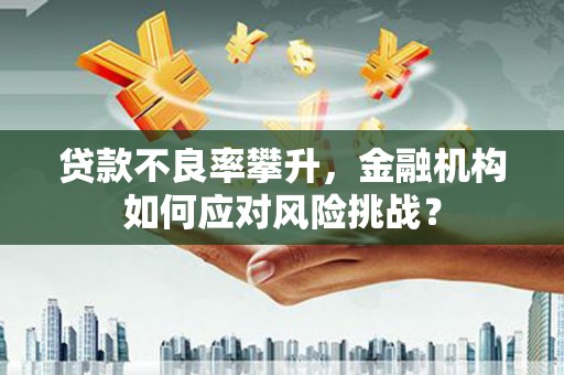 新北贷款不良率攀升，金融机构如何应对风险挑战？
