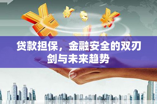 新北贷款担保，金融安全的双刃剑与未来趋势