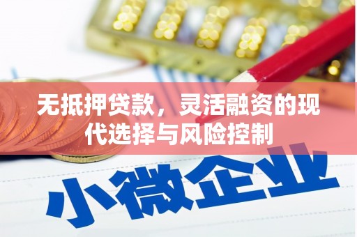 新北无抵押贷款，灵活融资的现代选择与风险控制
