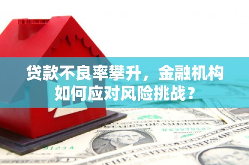 新北贷款不良率攀升，金融机构如何应对风险挑战？