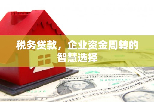 新北税务贷款，企业资金周转的智慧选择