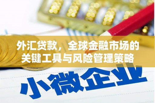新北外汇贷款，全球金融市场的关键工具与风险管理策略