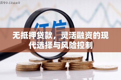 新北无抵押贷款，灵活融资的现代选择与风险控制
