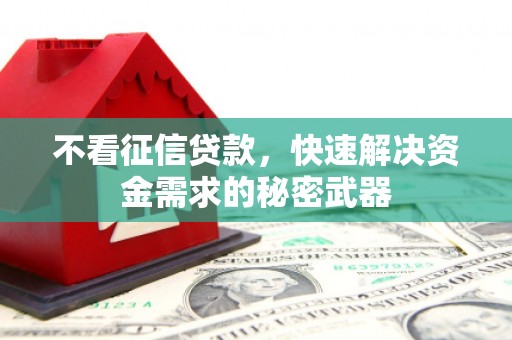 新北不看征信贷款，快速解决资金需求的秘密武器