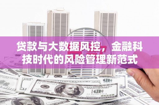 新北贷款与大数据风控，金融科技时代的风险管理新范式