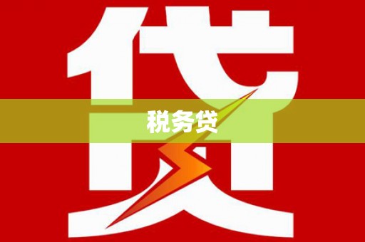 新北税务贷