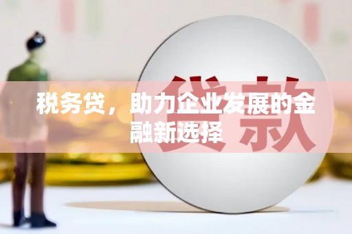 新北税务贷，助力企业发展的金融新选择