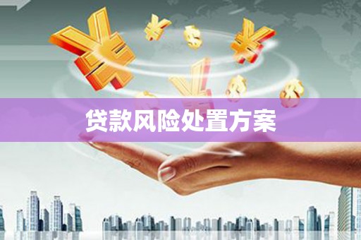 新北贷款风险处置方案