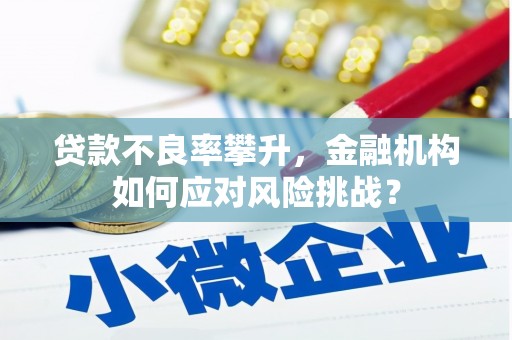 新北贷款不良率攀升，金融机构如何应对风险挑战？