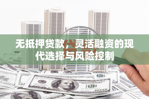 新北无抵押贷款，灵活融资的现代选择与风险控制