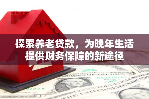 新北探索养老贷款，为晚年生活提供财务保障的新途径