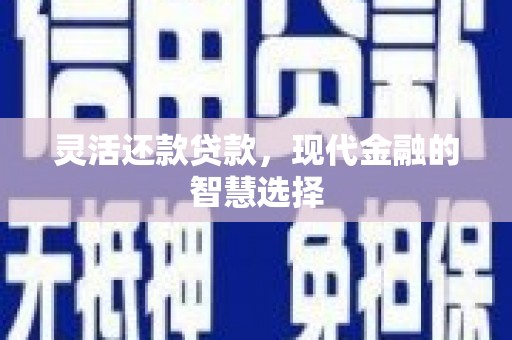 新北灵活还款贷款，现代金融的智慧选择
