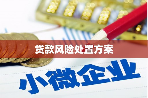 新北贷款风险处置方案