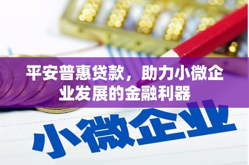 新北平安普惠贷款，助力小微企业发展的金融利器