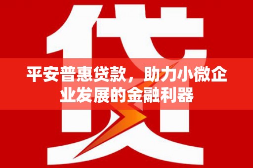 新北平安普惠贷款，助力小微企业发展的金融利器