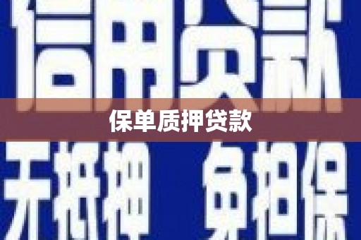 新北保单质押贷款
