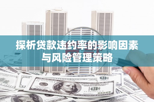 新北探析贷款违约率的影响因素与风险管理策略