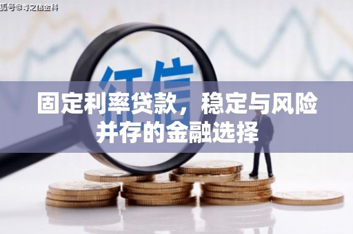 新北固定利率贷款，稳定与风险并存的金融选择