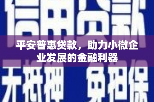 新北平安普惠贷款，助力小微企业发展的金融利器
