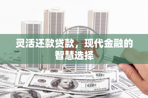 新北灵活还款贷款，现代金融的智慧选择