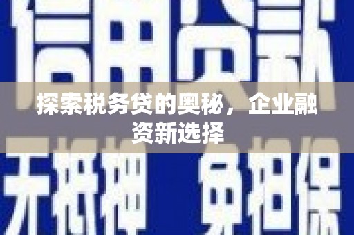 新北探索税务贷的奥秘，企业融资新选择