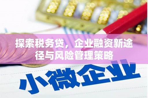 新北探索税务贷，企业融资新途径与风险管理策略