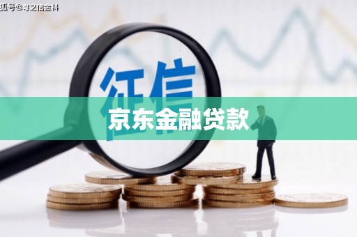 新北京东金融贷款