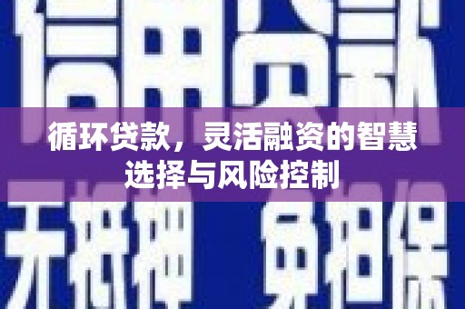 新北循环贷款，灵活融资的智慧选择与风险控制