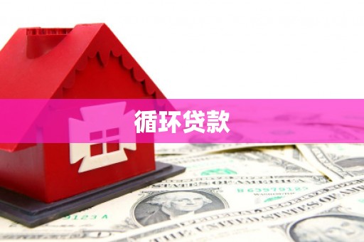 新北循环贷款