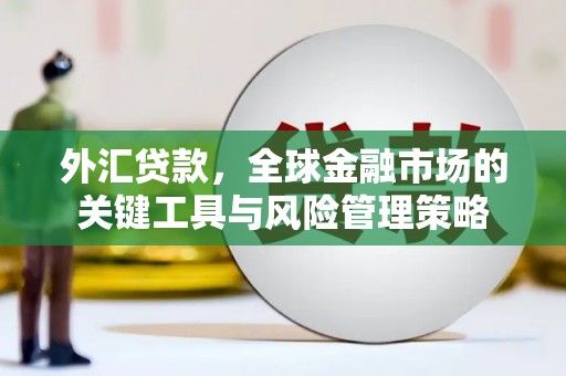 新北外汇贷款，全球金融市场的关键工具与风险管理策略