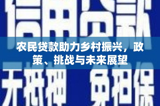 新北农民贷款助力乡村振兴，政策、挑战与未来展望