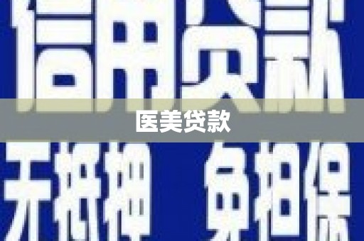 新北医美贷款
