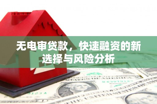 新北无电审贷款，快速融资的新选择与风险分析