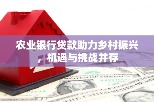 新北农业银行贷款助力乡村振兴，机遇与挑战并存