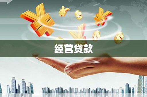 新北经营贷款