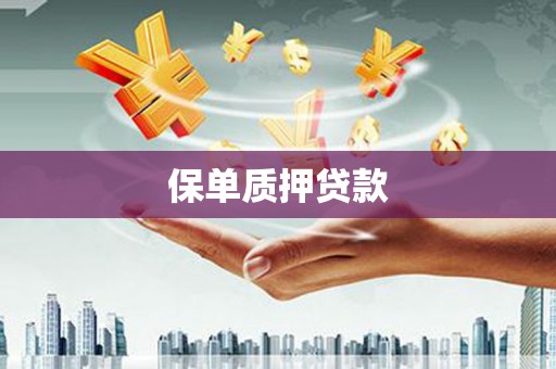 新北保单质押贷款