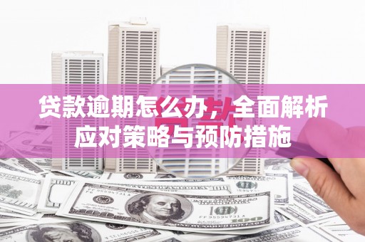 新北贷款逾期怎么办，全面解析应对策略与预防措施