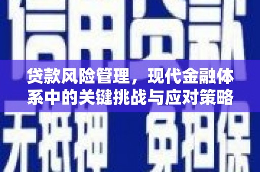 新北贷款风险管理，现代金融体系中的关键挑战与应对策略