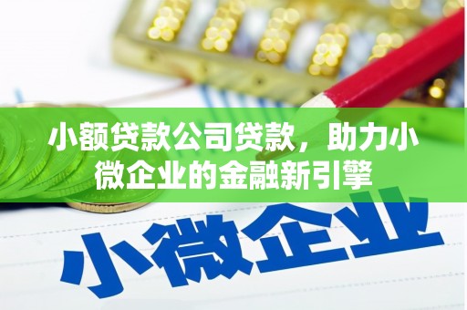 新北小额贷款公司贷款，助力小微企业的金融新引擎