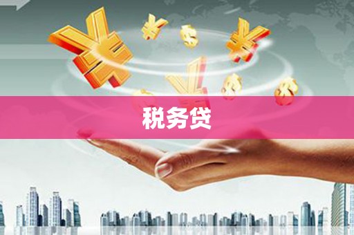 新北税务贷