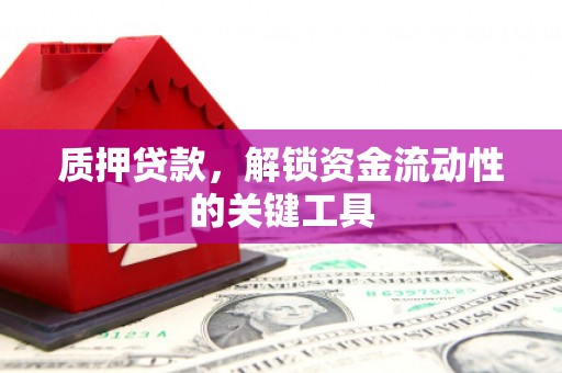 新北质押贷款，解锁资金流动性的关键工具
