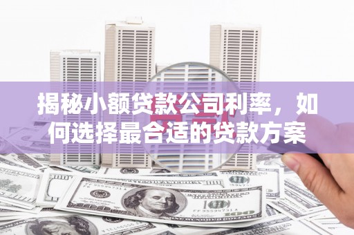 新北揭秘小额贷款公司利率，如何选择最合适的贷款方案