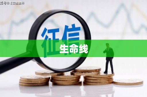 新北生命线