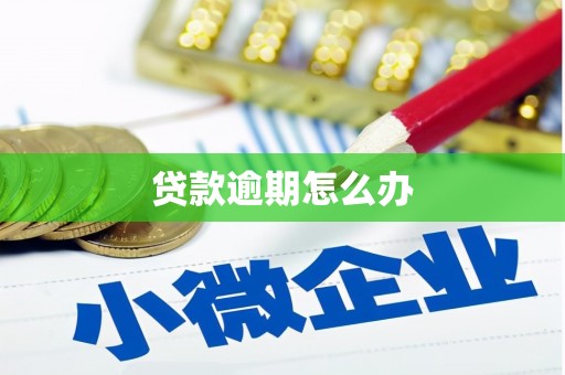 新北贷款逾期怎么办