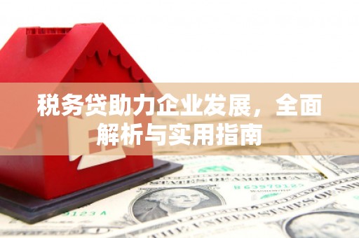 新北税务贷助力企业发展，全面解析与实用指南