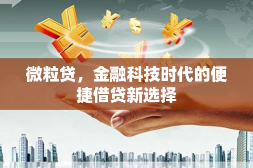 新北微粒贷，金融科技时代的便捷借贷新选择