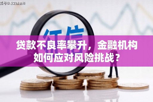 新北贷款不良率攀升，金融机构如何应对风险挑战？